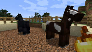 晴朗藍天下，有圍欄的牧場裡的兩隻Minecraft馬。 — 賽馬 壁紙