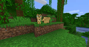 兩隻像素貓在Minecraft叢林的草叢邊緣休息。 — 我的世界苦力怕 壁紙