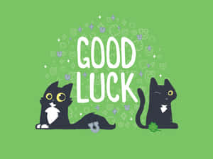 兩隻黑貓，白色胸部，坐在「GOOD LUCK」文字旁邊，有三葉草和馬蹄鐵。 — 好運 壁紙