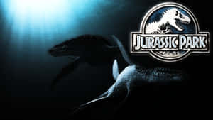 兩隻大型史前海洋生物在陽光下深海游泳，帶有 Jurassic Park 標誌。 — 侏羅紀公園 壁紙