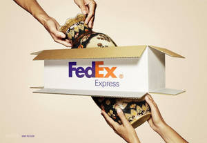 兩隻手在FedEx Express運輸箱內處理一個裝飾花瓶。 — 聯邦快遞 壁紙