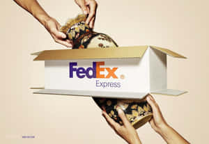 兩隻手在FedEx Express運送箱內處理一個裝飾花瓶。 — 聯邦快遞 壁紙