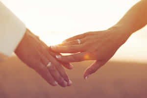 兩隻手在金色夕陽光中互相握持，戴著結婚戒指。 — 日落 壁紙