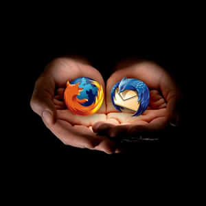 兩隻手在黑暗中捧著 Firefox 和 Thunderbird 標誌。 — 鳥類飛翔 壁紙