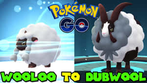 Wooloo 和 Dubwool 寶可夢在精靈球場地中，有 Pokémon GO 標誌。 — 寶可夢 高畫質 壁紙