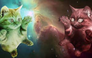 兩隻小貓漂浮在色彩繽紛的太空星雲中互相伸手觸碰。 — 小貓 壁紙