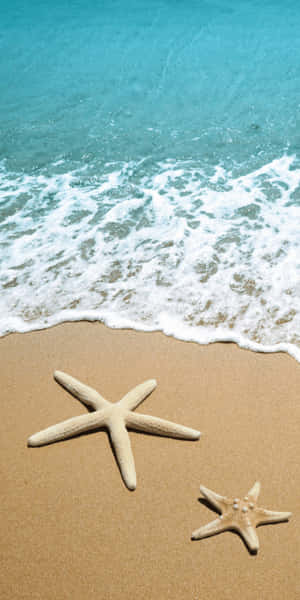 沙灘上的兩隻海星，碧綠色的海浪翻滾。 — 海灘 壁紙