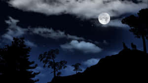 兩隻狼在滿月下的山丘上嚎叫。 — 月夜星空 壁紙