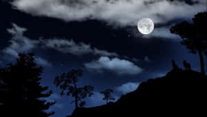 兩隻狼在滿月和星空下的山丘上嚎叫。 — 月夜星空 壁紙