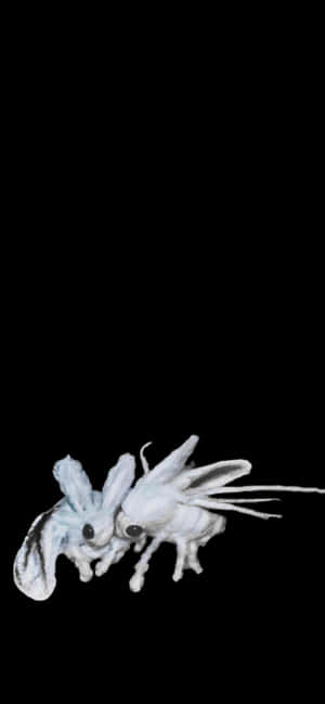 兩隻白色飛蛾狀生物，有大眼睛，在黑色背景上飛翔。 — iPhone 13 Mini 壁紙