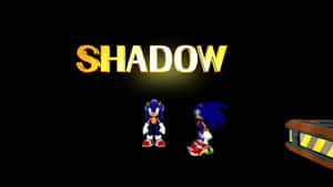 發光SHADOW標題下的兩隻藍色刺蝟角色。 — 音速小子 壁紙