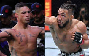 比賽期間八角籠內的兩名男性MMA拳手。 — 運動 壁紙
