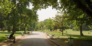 公園圖片 — 跑酷 壁紙