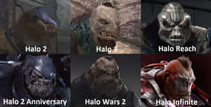 六個來自不同作品的Halo遊戲敵人角色以網格顯示。 — 漫威反派 壁紙