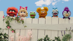 六個Muppet角色在白色籬笆上方偷看，籬笆上有盛開的花朵。 — 妙妙熊仔 壁紙