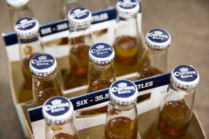 六瓶Corona Extra啤酒裝在紙板提架中。 — 溫暖 壁紙