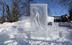 陽光明媚的冬日，雪地公園中的魚和貝殼冰雕。 — 冰 壁紙