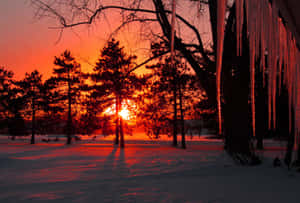 夕陽下的雪林，閃耀的冰柱與橙色天空。 — 冬季風景 壁紙