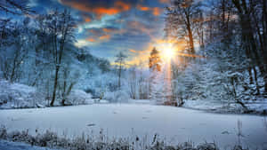 日出時被雪覆蓋的樹木環繞的結冰湖面 — 冬季風景 壁紙