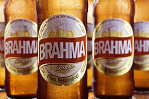 冰凍 Brahma 啤酒瓶，琥珀色玻璃上凝結的水珠。 — 啤酒 壁紙