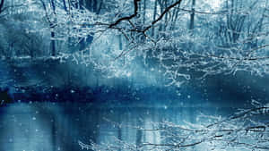 夜晚，結冰的樹枝懸在雪湖之上，伴隨著閃爍的燈光。 — 冬季風景 壁紙