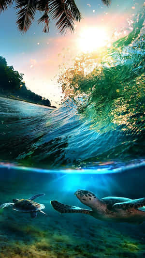 兩隻海龜在陽光照耀的海浪下，伴隨著上方的棕櫚樹，在水中滑行。 — 烏龜 壁紙