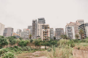 陰天下，茂密植被背後的高層建築城市天際線 — 黎巴嫩 壁紙