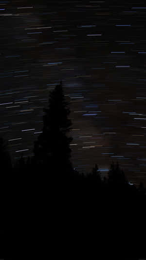 星軌在黑暗松樹剪影上方的夜空劃出弧線。 — 暮光 壁紙