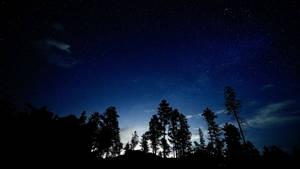 剪影的樹木在星空夜空下，帶有深藍色調和散落的雲彩。 — 剪影 壁紙
