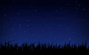 草剪影上方的星空夜空 — 夜晚 壁紙
