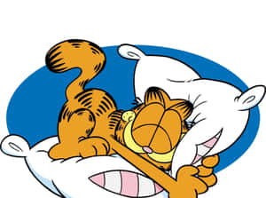 卡通貓加菲貓在藍色背景的枕頭上睡覺。 — 睡眠 壁紙