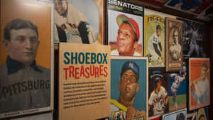 復古棒球卡在博物館牆上展示，附有「Shoebox Treasures」標牌。 — 酷棒球 壁紙