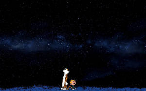 卡爾文和他的老虎仰望星空。 — 晚安 壁紙