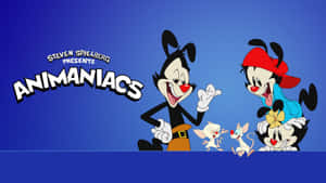 Animaniacs 圖片 — 狂歡三寶 壁紙