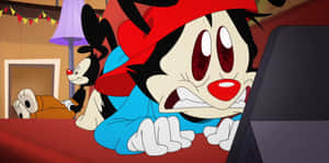 Animaniacs 背景 — 狂歡三寶 壁紙