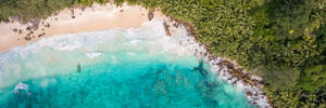熱帶海灘的鳥瞰圖，有碧綠的海水和棕櫚樹。 — 海洋桌面 壁紙