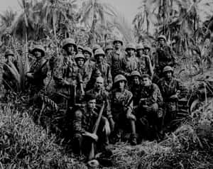 一群穿著叢林迷彩服的士兵在棕櫚樹間持步槍擺姿勢。 — 彩虹旗 壁紙