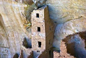 古代懸崖住宅遺址，建於沙漠中的砂岩懸崖中。 — 科羅拉多 壁紙