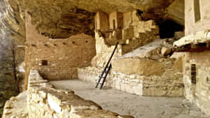 古代懸崖住宅遺址，有石牆和梯子，位於岩石懸垂下方。 — 科羅拉多 壁紙
