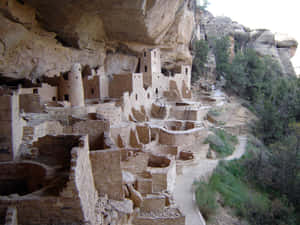 古代懸崖住宅，建在砂岩懸崖中，石徑蜿蜒穿過綠意。 — 科羅拉多 壁紙