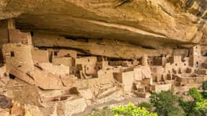 古代懸崖住所普韋布洛遺址，位於巨大砂岩懸崖下，下方有綠樹。 — 科羅拉多 壁紙