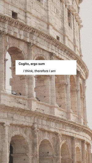 競技場特寫，文字疊加顯示「Cogito ergo sum」和「I think therefore I am」。 — 美學 壁紙