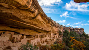 在藍天和秋樹下，建在砂岩懸崖上的古老懸崖住所。 — 科羅拉多 壁紙