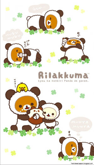 穿著毛絨服裝的Rilakkuma熊貓用三葉草和對話氣泡休息和玩耍。 — 懶懶熊 GIF 壁紙