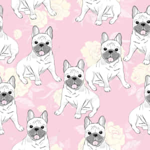 法國鬥牛犬素描風格在粉紅花卉背景圖案上。 — 可愛小狗 壁紙