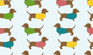 dachshund