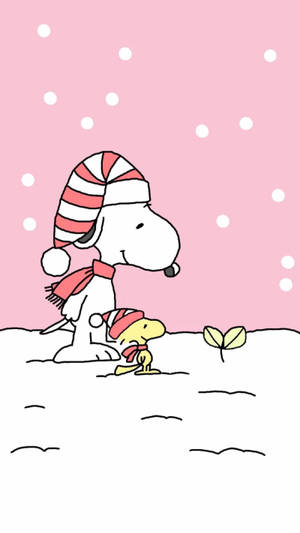 史努比和胡士托戴著冬帽看著雪中的嫩芽。 — 史努比聖誕節 壁紙