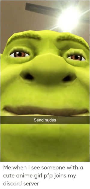 史瑞克的臉部帶有 'Send nudes' 文字覆蓋層，用於 Discord 迷因幽默。 — 搞笑迷因 壁紙