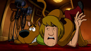 史酷比背景 — 卡通狗 壁紙