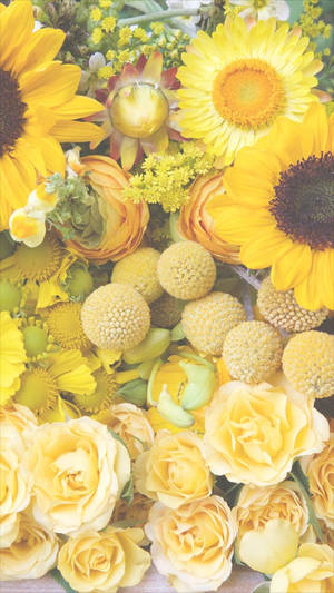 黃色向日葵、玫瑰和絨球花在花束中的色彩繽紛排列。 — 花 iPhone 壁紙